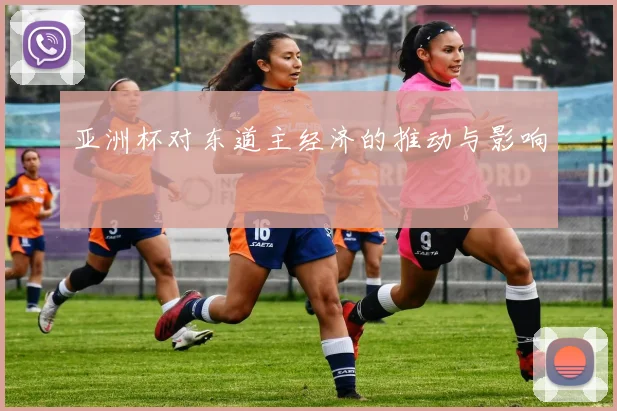 亚洲杯对东道主经济的推动与影响
